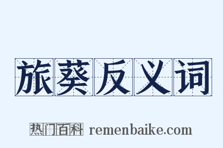 旅葵反义词是什么意思的图片